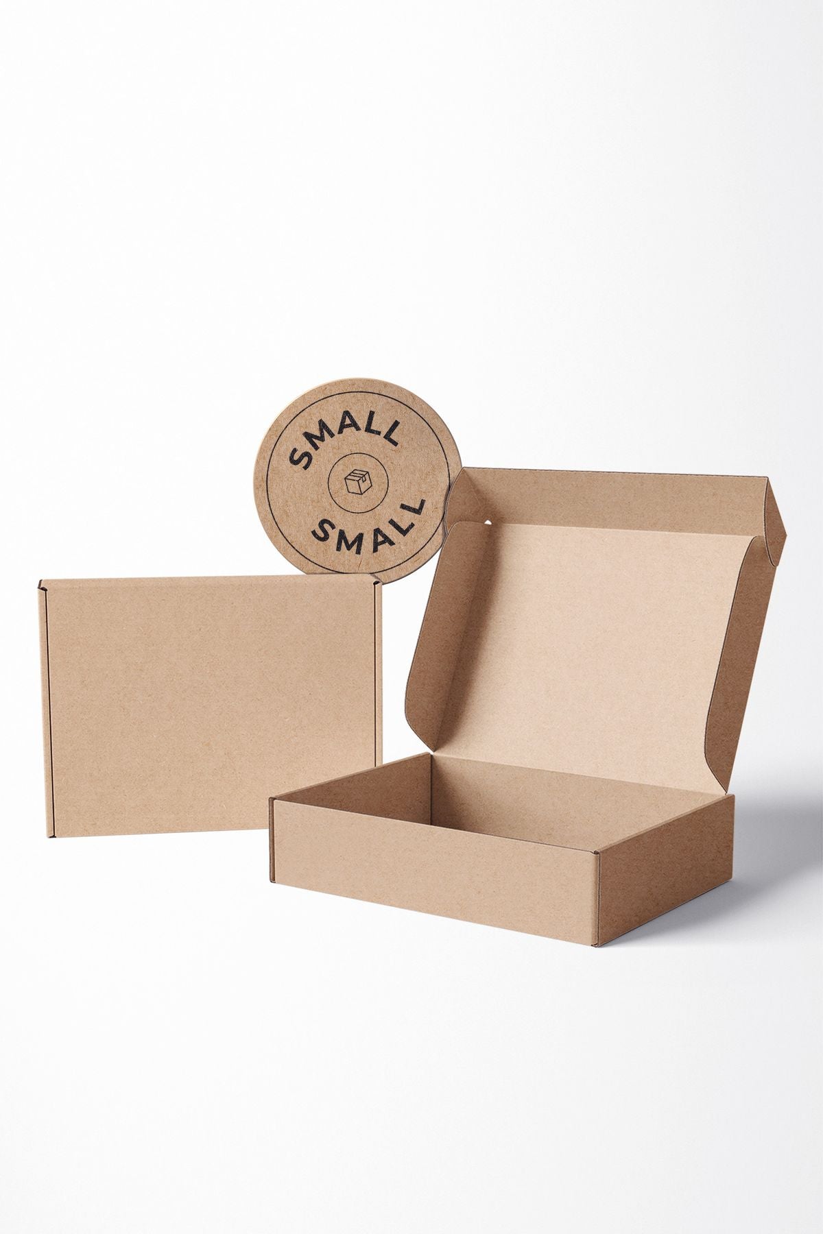 No1 25'li E-Ticaret Kargo Kutusu (1) AkalBatu